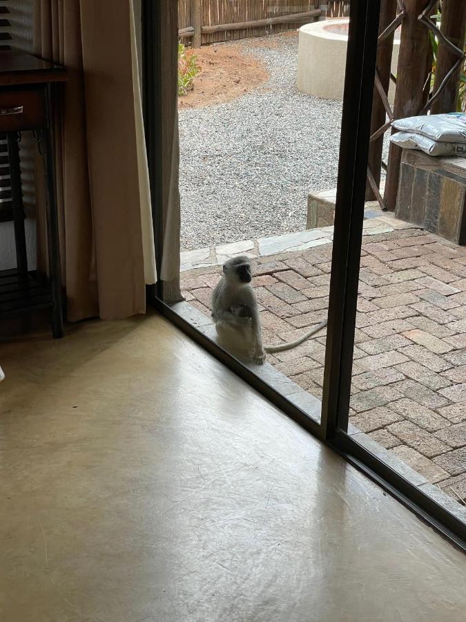 The Cheetah Rest Villa โฮดสปรูท ภายนอก รูปภาพ